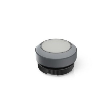 Rafi Rafix 22 Fs+ Pushbutton Ill 1.30.270.911/2208